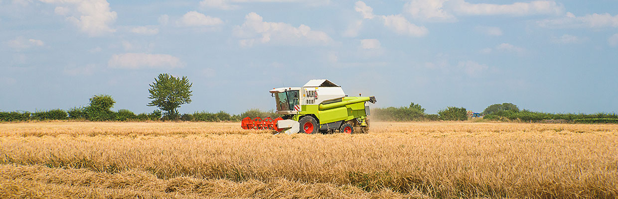 Combine Harvester in Field